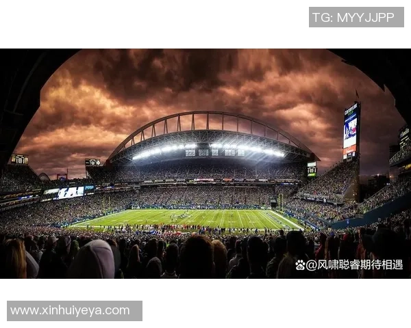 世界杯的荣耀与挑战：探索足球盛宴背后的历史、文化与未来发展