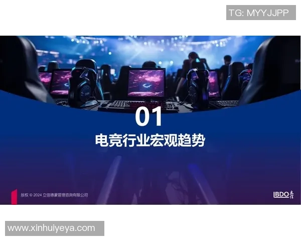 全球电竞产业崛起推动数字娱乐生态融合与青年文化创新发展