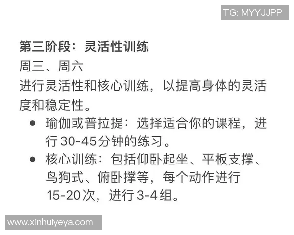 提升力量与耐力，塑造完美体型的全方位健身指南与训练计划