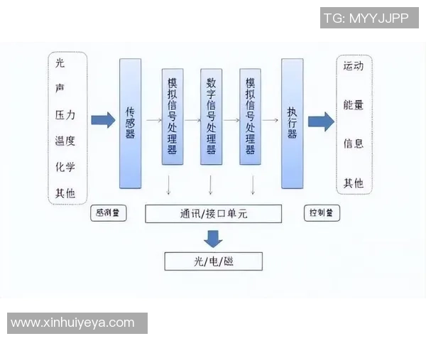 ViperADC:引领未来的高性能自适应数字信号处理技术探索与应用 ViperADC:引领未来的高性能自适应数字信号处理技术探索与应用